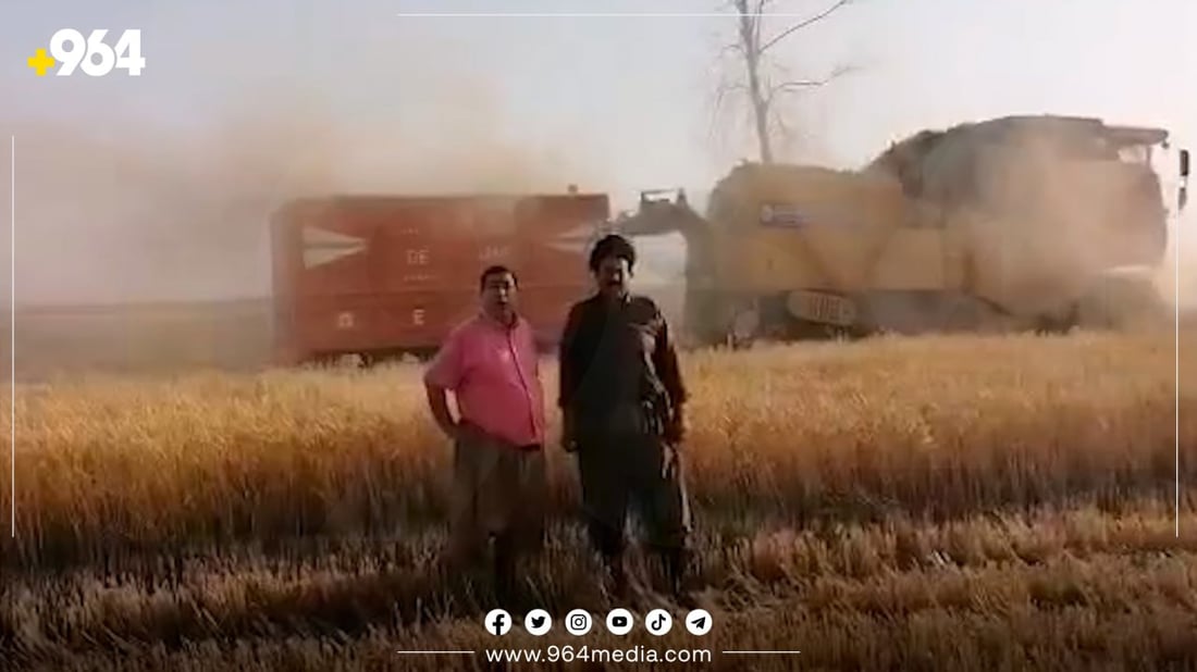 چاوەڕوانی بارانبارین گەنمی هەندێک ناوچەی وشک کردووە