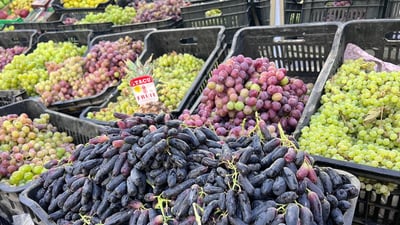 Daquq markets see surge in local grapes and produce, with seedless ‘Yaqout’ variety leading demand