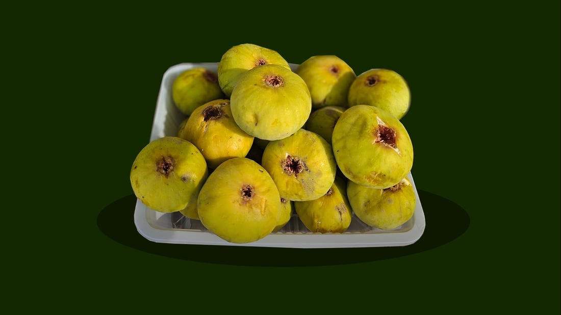 چوارەم فێستیڤاڵی هەنجیره‌ به‌ناوبانگه‌كه‌ى ‌ته‌قته‌ق به‌ڕێوه‌ده‌چێت