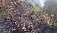 پێنج گەشتیار لەسەر سووتاندنی شەش دۆنم زەوی دەستگیر کرا...