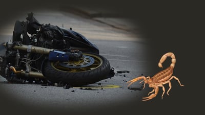 له‌ هه‌ولێر پێوه‌دانى دووپشك و رووداوى ماتۆڕسكیل له‌ زیادبووندایه‌