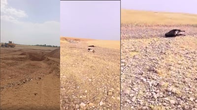 15 سەر ئاژەڵ لە مەیدانی ئاژەڵانی ناحیەی رزگاری مرداربونەتەوە