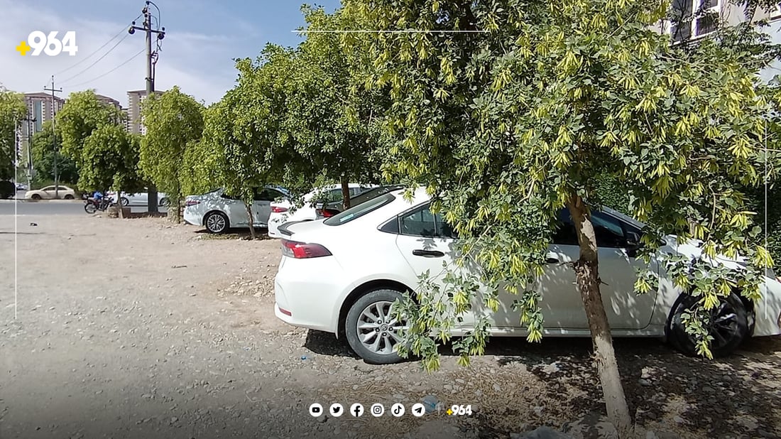 ئۆتۆمبێلەکەت لە پارک و باخچەکان رابگریت سزا دەدرێیت