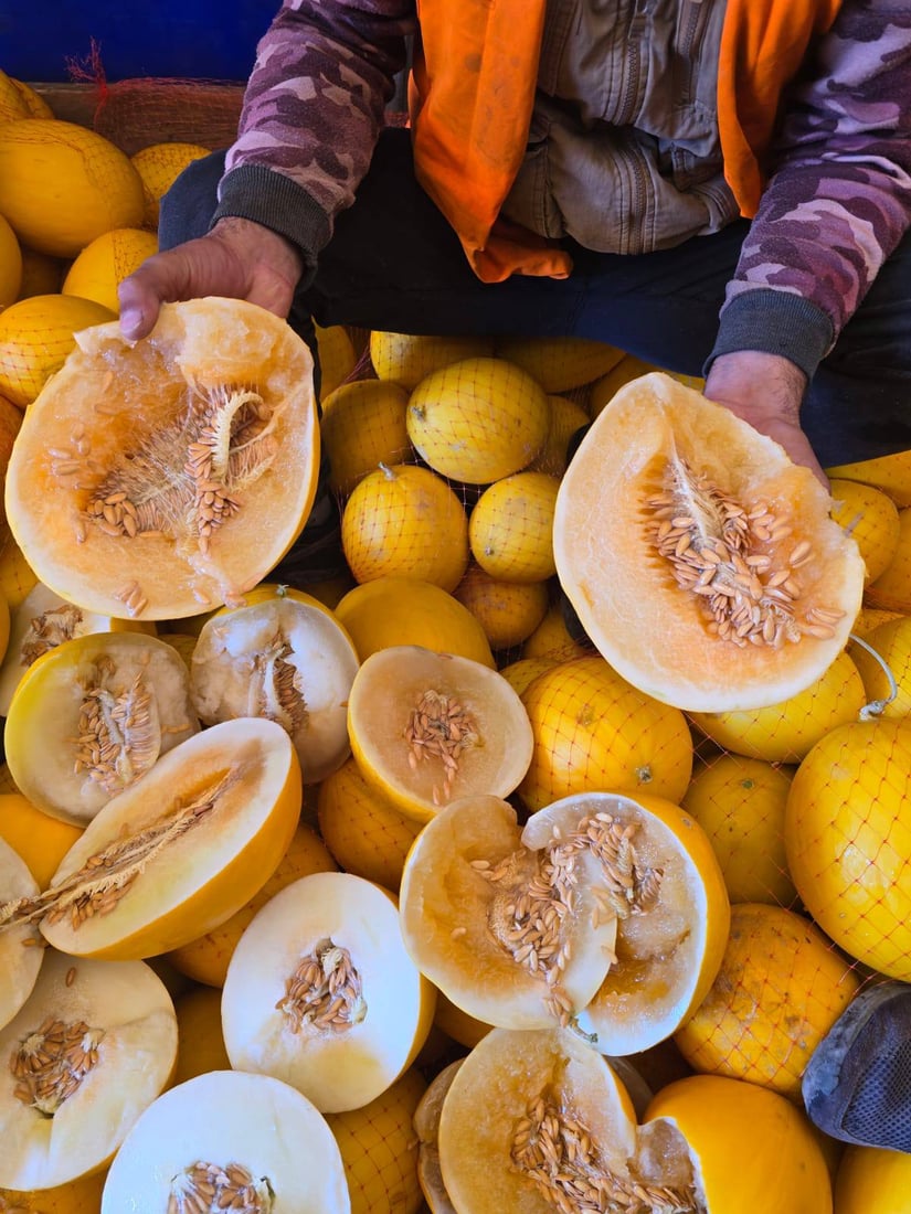 نزیکەى 11 تۆن کاڵەکى نەشیاو دەستى بەسەرداگیرا