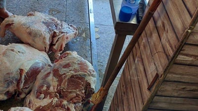 Expired meat seized in Baghdad, bran smuggling operation foiled