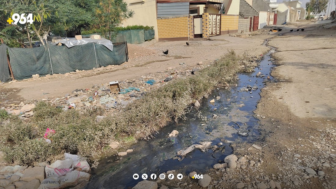 گەڕەکی سەنگاوییەکان لە زستان و لە هاویندا لەخۆیان بێزارن