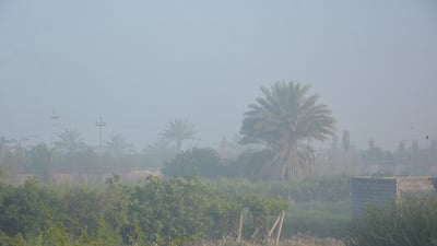 الحارس اختفى والمزارعون هربوا.. الدخان يخيّم على بساتين الفواكه في بلد منذ 3 أيام