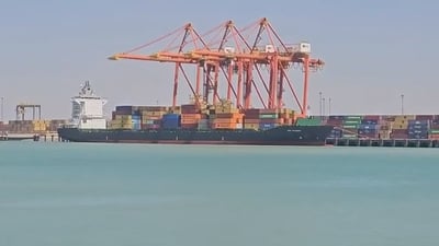 فيديو: باخرة تجارية تصل إلى أم قصر محملة بحاويات من الإمارات