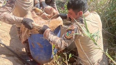 جهاز مكافحة الإرهاب يحبط عملية إرهابية في صلاح الدين