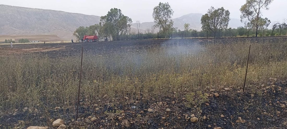 ئاگرەکەی دەربەندیخان 30 دۆنم زەوی سووتاندووە