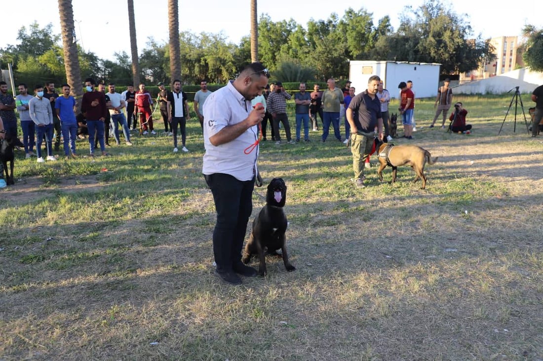 صور: 60 مربياً يستعرضون كلابهم المدربة في واسط.. ممارسة على كشف المخدرات