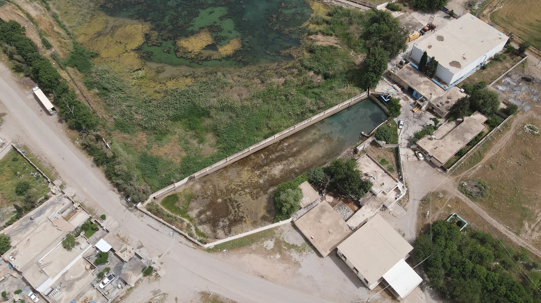 بەهۆى وشکبوونى سەرچاوەى ئاوى حەسار 10 هەزار پەنجەماسى گواسترانەوە