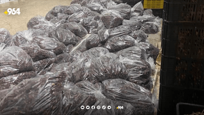 بازرگانێك 25 تۆن خورمای به‌سه‌رچووی خۆی راده‌ست كرد