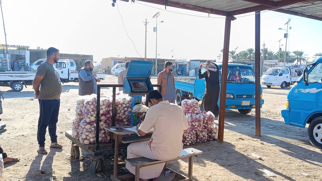 حصاد الشتاء بدأ في الرضوانية والعلاوي تبيع ما تبقى من محاصيل الصيف (صور)
