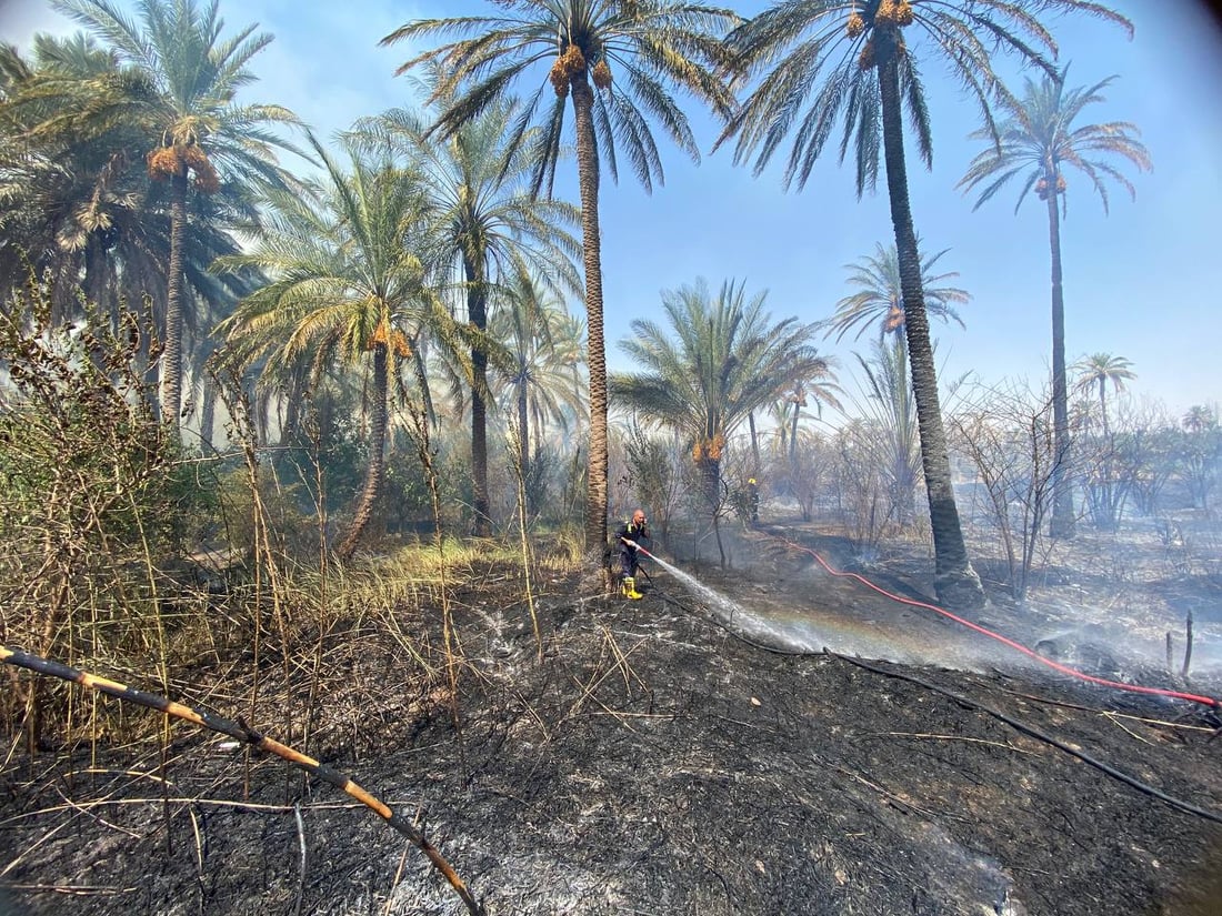 ئاگرێک بووە هۆی سووتانی چەندین دارخوورما لە خانەقین