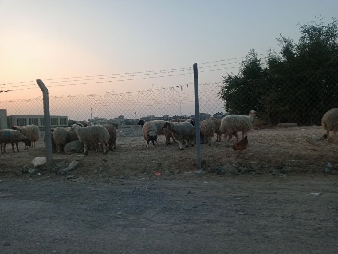 صور: استغاثة من محيط “المقبرة المقرفة” في بغداد الجديدة