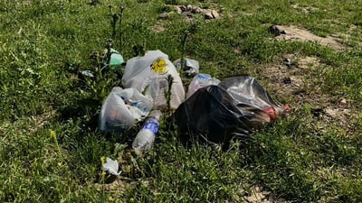 سەرەڕای دانانی قەفەسی تایبەت گەشتیاران ژینگە پیس دەکەن