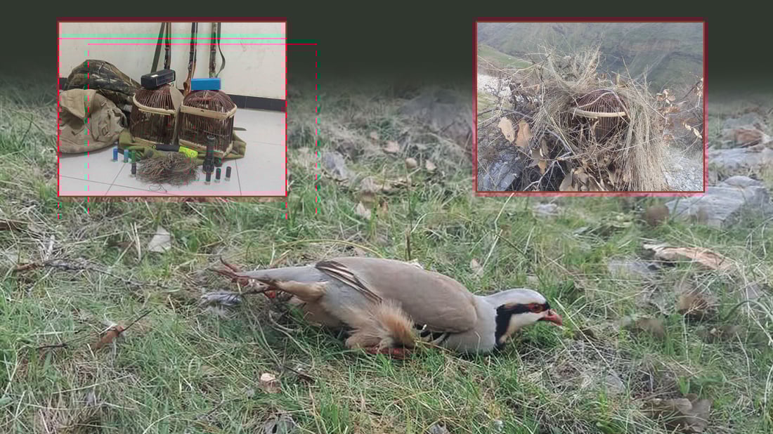Three arrested for illegal hunting in Halabja’s Biyara area