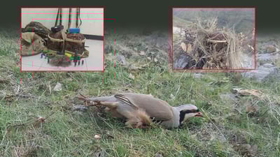 Three arrested for illegal hunting in Halabja’s Biyara area