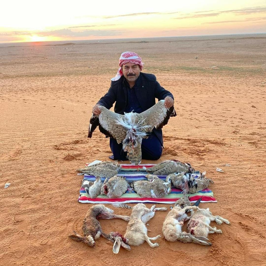 “عذراً خليجي البصرة”.. خليجيون إلى صحراء السماوة بحثاً عن الحبارى والشاهين (صور)