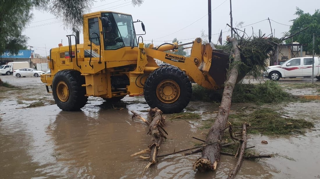 الزبير: العواصف اقتلعت الأشجار الباسقة.. وقطعت شارع “الخطوة” (صور)