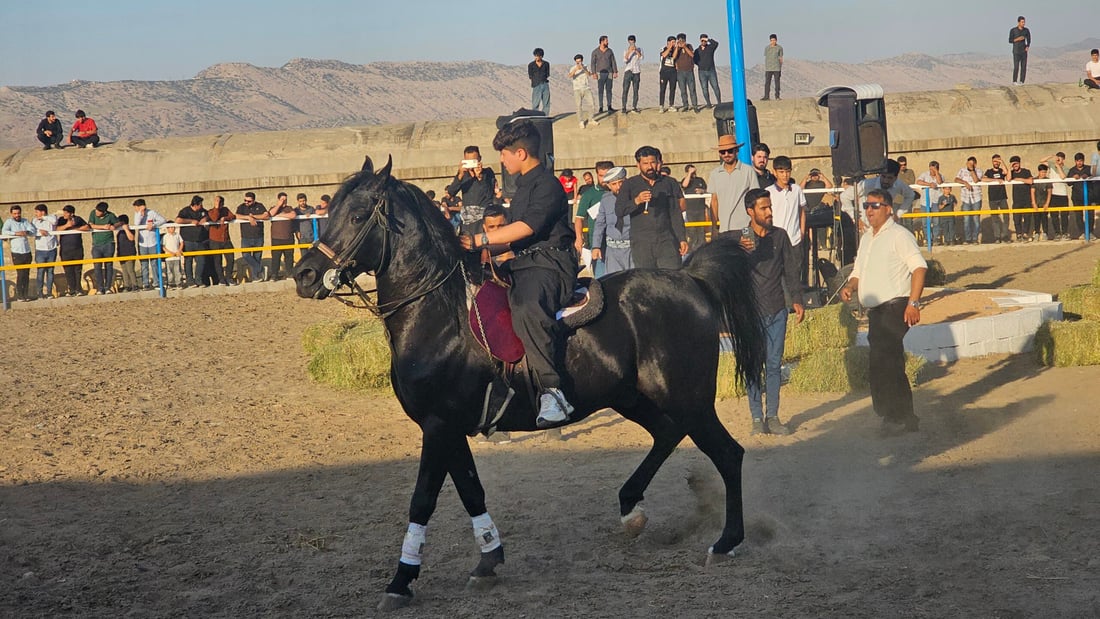 ئەسپسوارێکی کۆیە: لەوەتەی هەین ئەسپمان هەیە