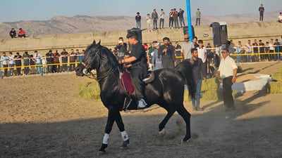 ئەسپسوارێکی کۆیە: لەوەتەی هەین ئەسپمان هەیە