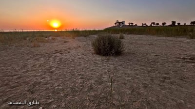 المصورون في الأنبار ينعون بحيرة الحبانية.. الجفاف جعل “اللقطة” مستحيلة