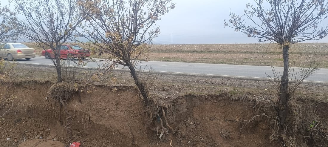 بچن بەهانای درەختەکانی نێوان تەکیە بۆ چەمچەماڵ