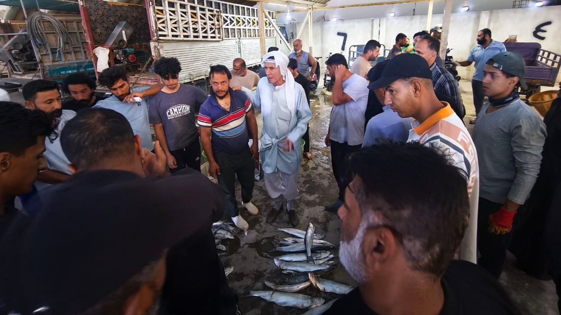الرطوبة أنعشت الصيد في بحر العراق.. أطنان من الروبيان والزبيدي (صور)