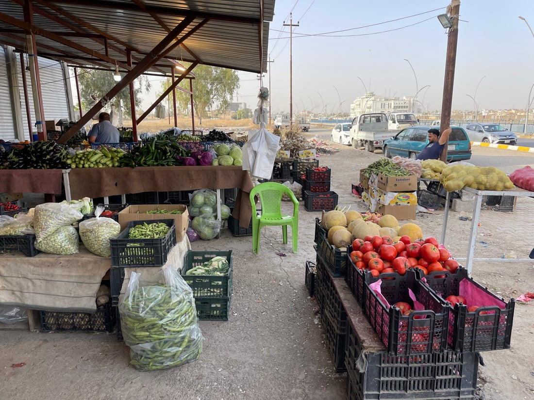 علوة كركوك: الباميا العراقية “مغرورة” بـ4 آلاف.. والمشمش يختفي بسرعة (صور)
