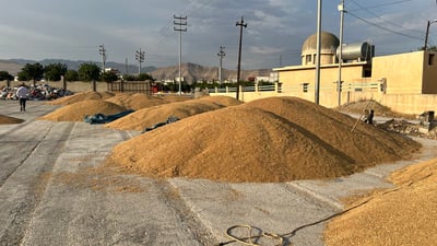 بەغدا بڕیاری دا بە ناردنی 45 ملیار دینار بۆ پارەی گەنمی جوتیاران