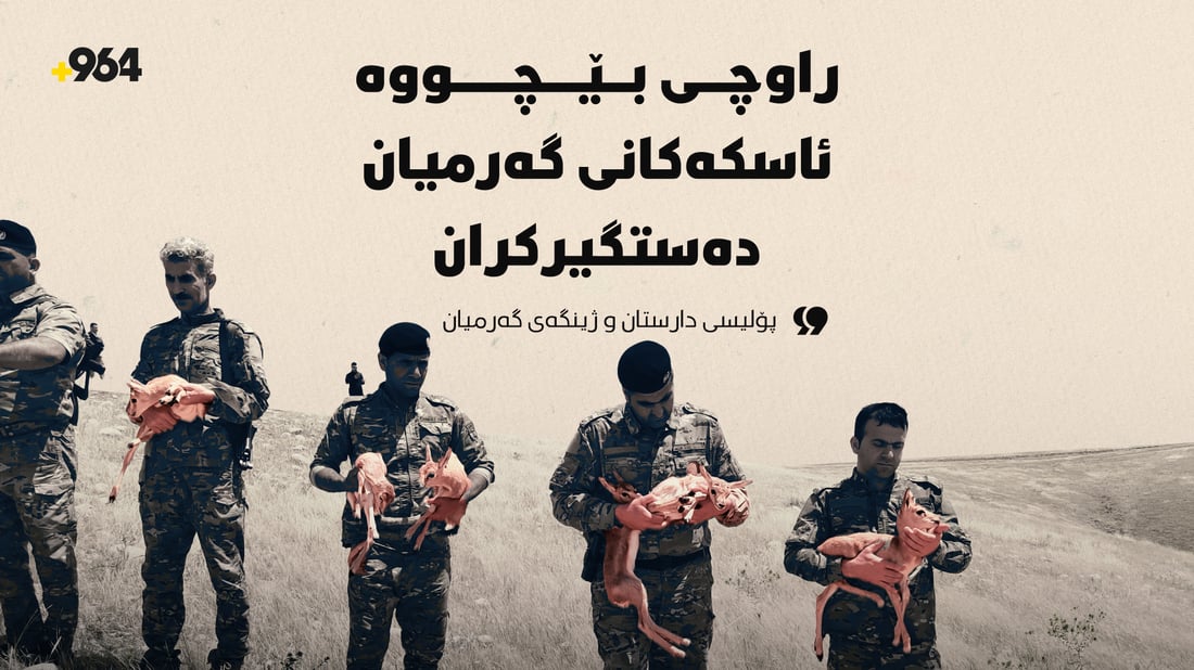 راوچى بێچووە ئاسکەکانى گەرمیان دەستگیرکران