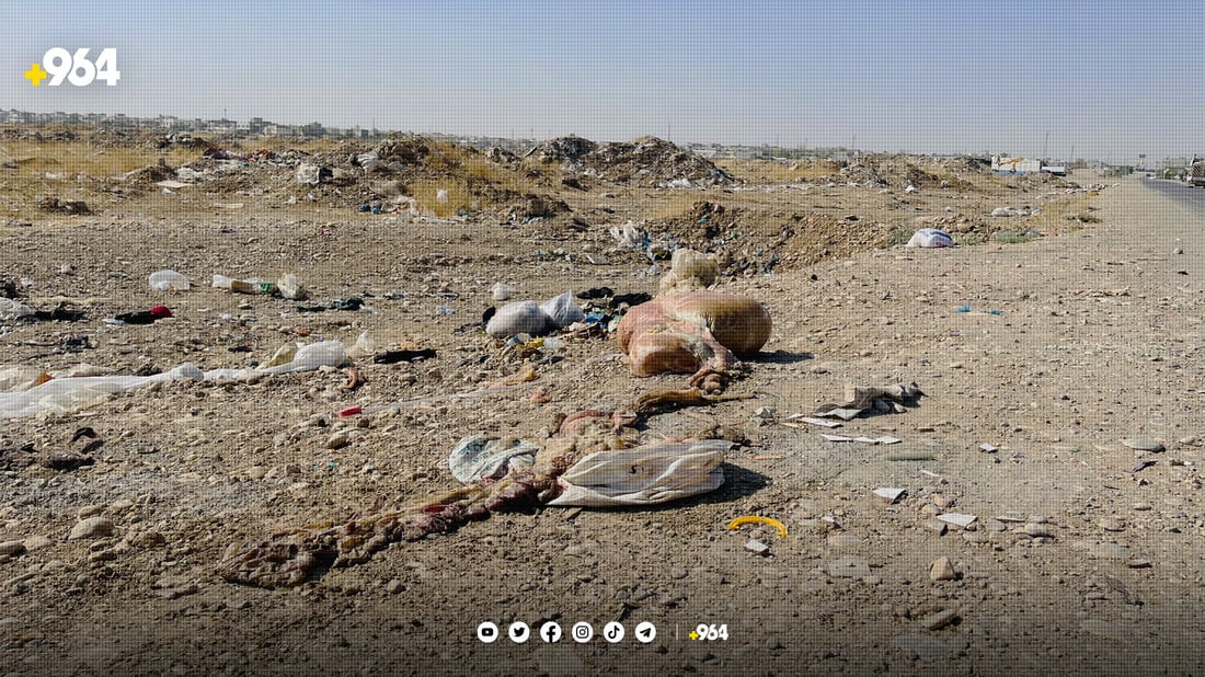 لە هەولێر پاشماوەی ئاژەڵەکان لەسەر شەقامەکان فڕێدەدرێن