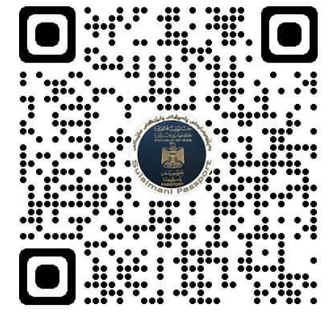 +964صورة من منصة (شبكة): 