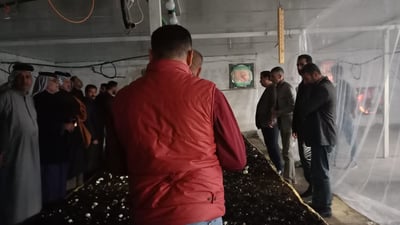 بالصور: نجاح زراعة “الفطر الأبيض” لأول مرة في البصرة.. والكيلو 4 آلاف