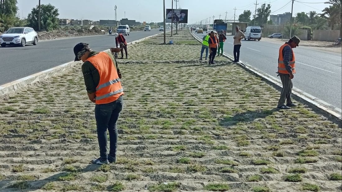 القاسم ستصبح خضراء.. حملة لزراعة 1000 شتلة في الجزرات الوسطية (صور)