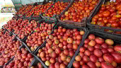 دەرگای هاوردەكردنی تەماتە و پیاز لە عێراق دەكرێتەوە