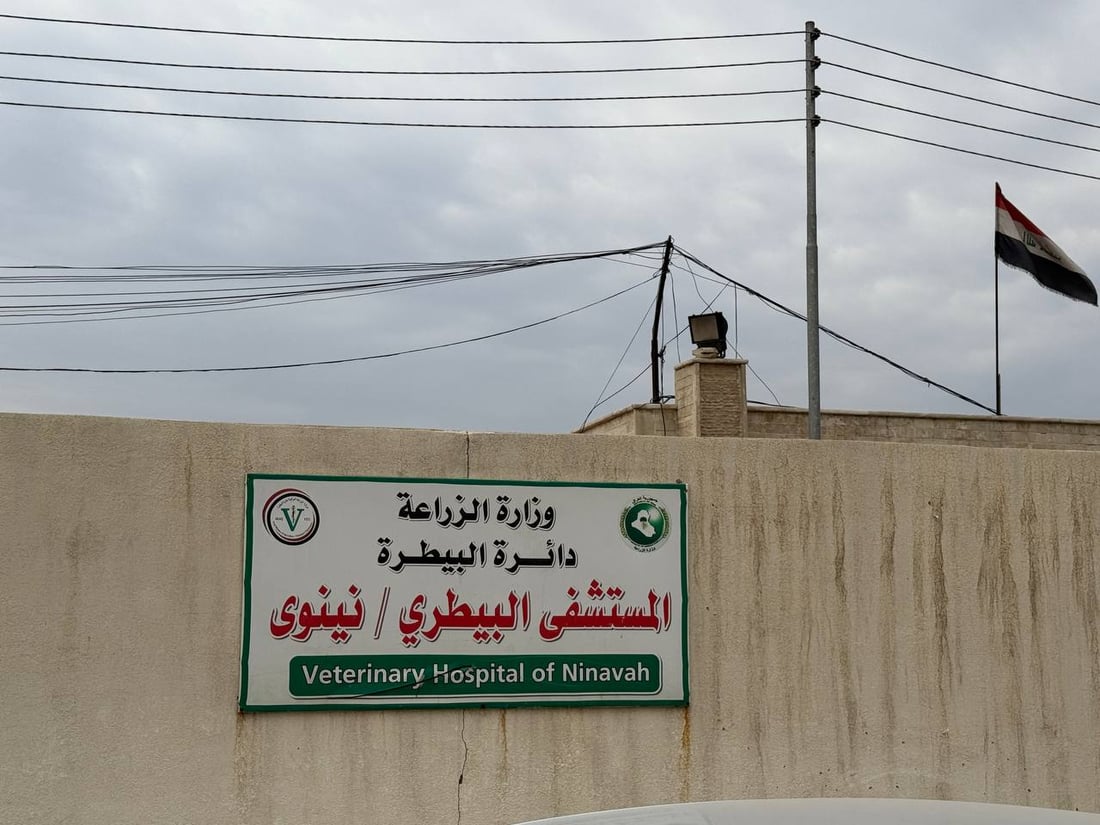 Awareness lecture in Nineveh on foot-and-mouth disease prevention as outbreak spreads