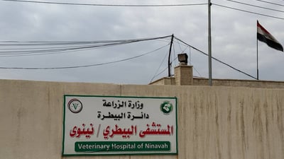 Awareness lecture in Nineveh on foot-and-mouth disease prevention as outbreak spreads