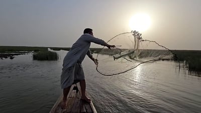 (فيديو) قرار سوق الشيوخ: سنبلغ عن صيد السمك بالكهرباء مهما كلف الأمر!