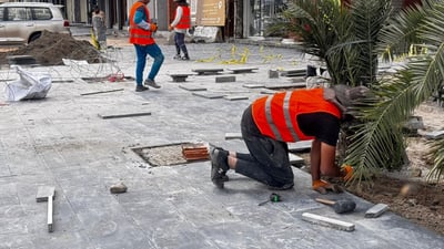 تأهيل شارع 14 رمضان.. “إنارة وأشجار وتبليط بالبازلت المطعّم بالمرمر”