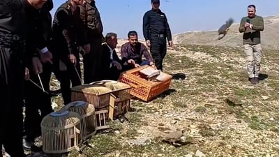 بۆ یادی پێنج هەزار شەهیدی هەڵەبجە 50 کەو ئازادکران