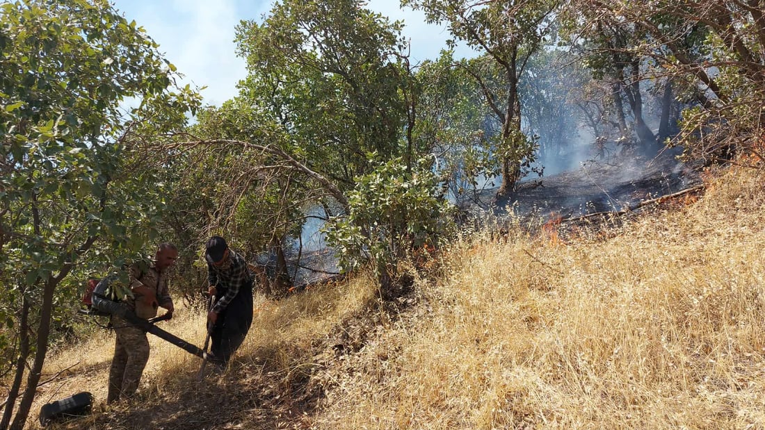 دیمەنێکی ئاگرەکەی پێنجوێن - وێنە؛ بەڕێوەبەرایەتی پۆلیسی دارستان و ژینگەی سلێمانی