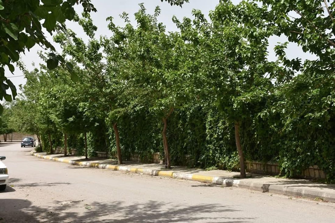 له‌ هه‌ڵه‌بجه‌ پیری ژینگه‌دۆستان رێزلێنانى پێبه‌خشرا