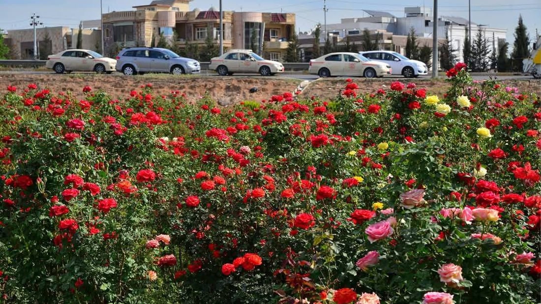 دەروازەی هەولێر بە گوڵ و نەمام رازێندرایەوە