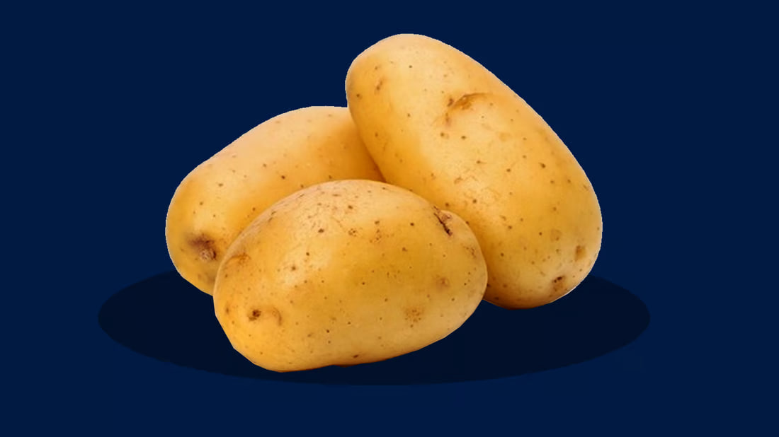 “سبكترا”.. بطاطا هولندية اجتازت تجارب 4 سنوات في دهوك وتتجه إلى الجنوب