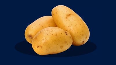 “سبكترا”.. بطاطا هولندية اجتازت تجارب 4 سنوات في دهوك وتتجه إلى الجنوب