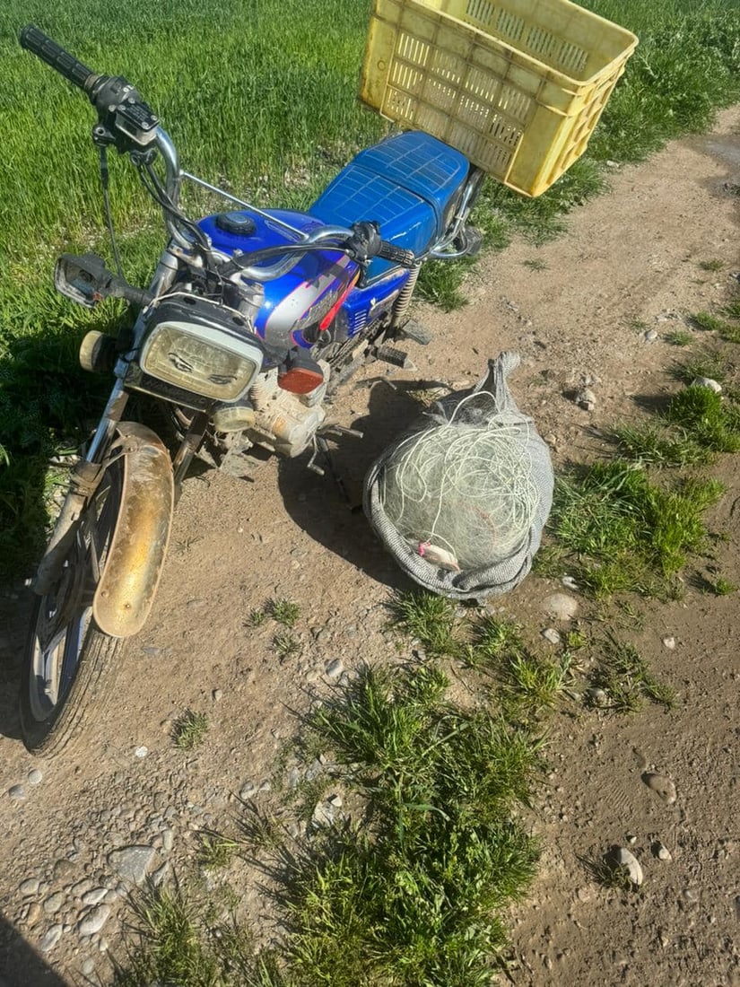 له‌ راپه‌ڕین 11 راوچی دیكه‌ ده‌ستگیركران