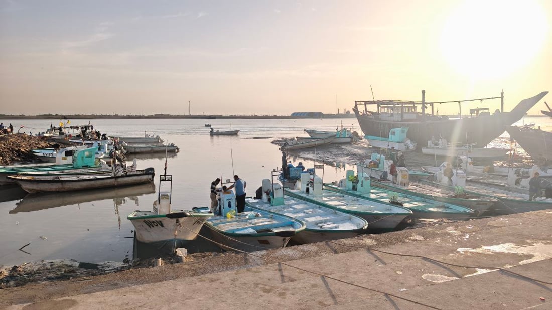 صور: عودة سمك الداكوك إلى أسواق الفاو بكمية 500 كغم.. الكيلو بـ 13 ألف دينار